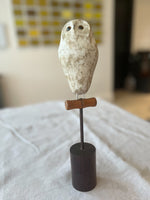 Owl on Perch Two
