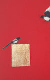Magpies on Red