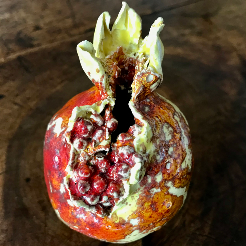 Small Ornamental Pomegranate Erupted 3