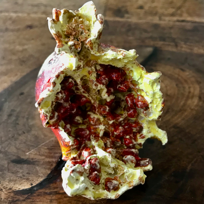 Small Ornamental Pomegranate (Fully) Erupted 4